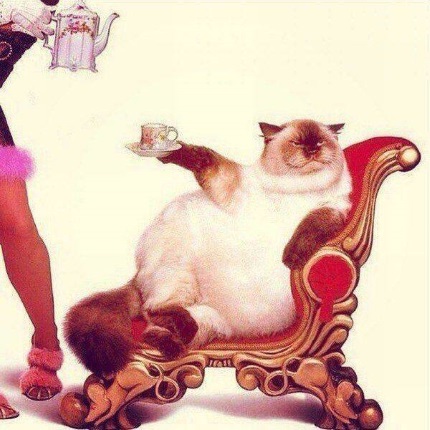daily_picdump_2043_640_65