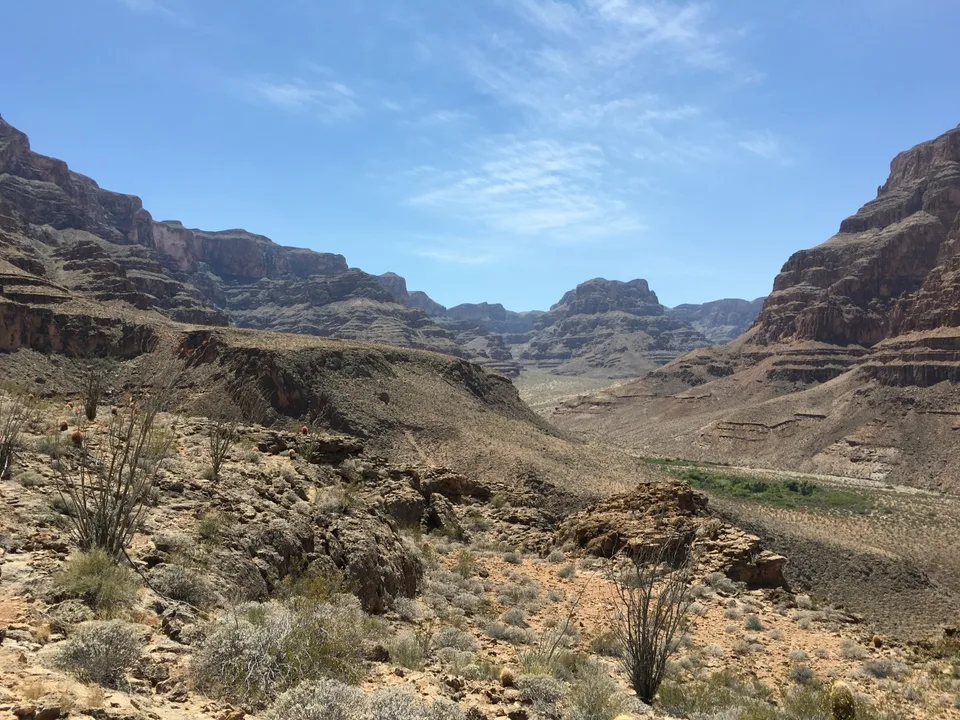 2016-05-15 13.21.28