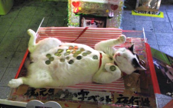 likvidnost-na-foreks