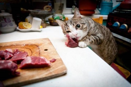 daily_picdump_2026_640_55