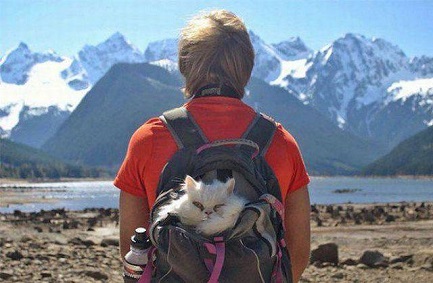 daily_picdump_1265_640_48