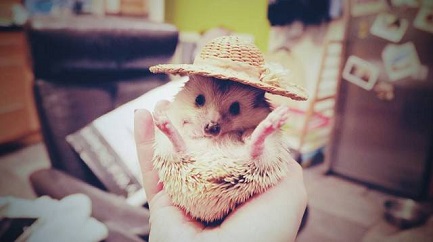 daily_picdump_1946_640_09