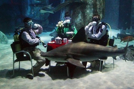 morning_picdump_389_640_20