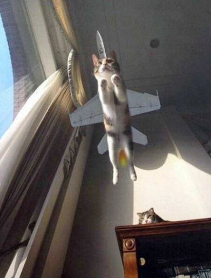 perfect_photo_moments_where_timing_was_everything_640_08
