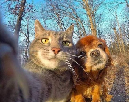 image thumb