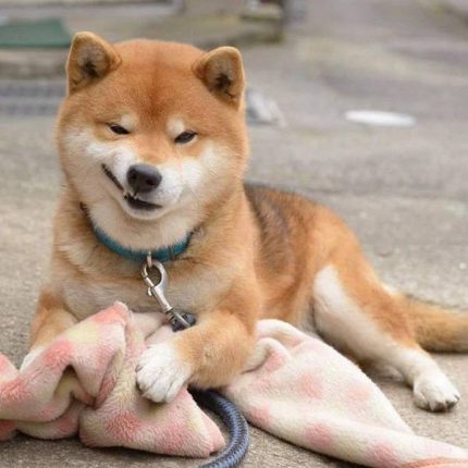 image thumb