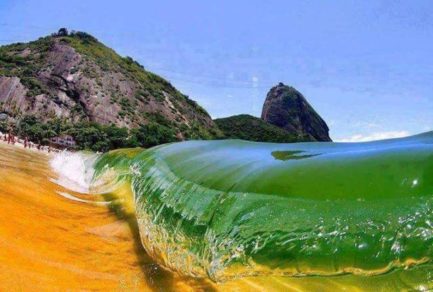 image thumb