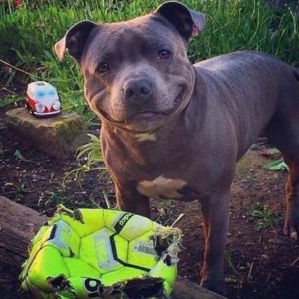 image thumb