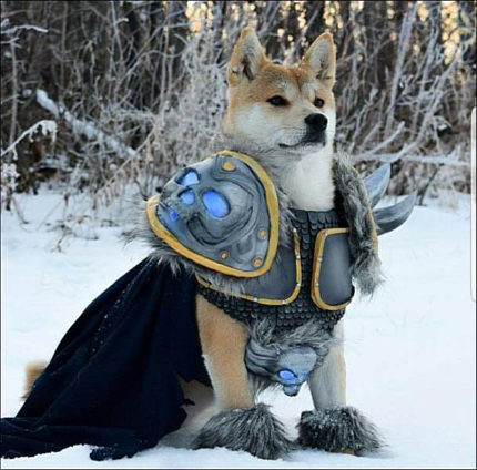 image thumb
