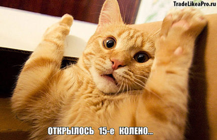 image thumb