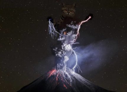 image thumb