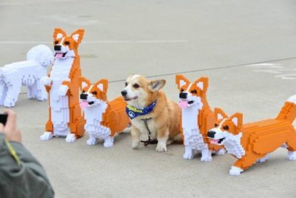 image thumb