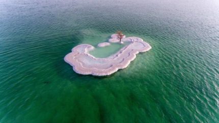 image thumb