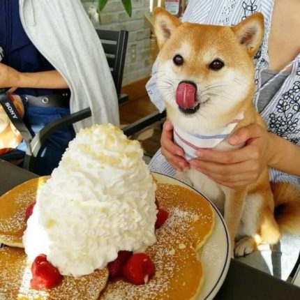 image thumb