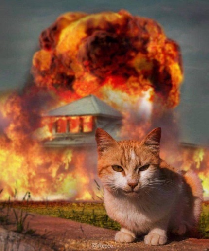 image thumb