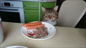 image thumb