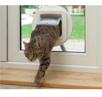 Exiting a position in the Trading Chaos strategy.